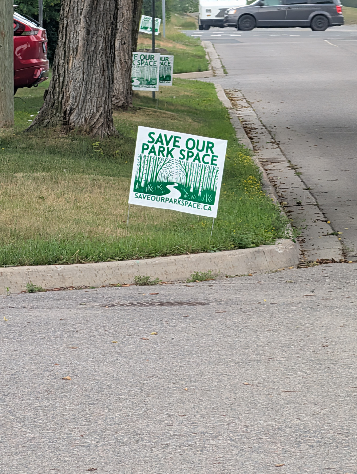 Save Our Park Space lawn signs along a Thunder Bay street